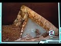 car unearthed tulsa car unearthed tulsa