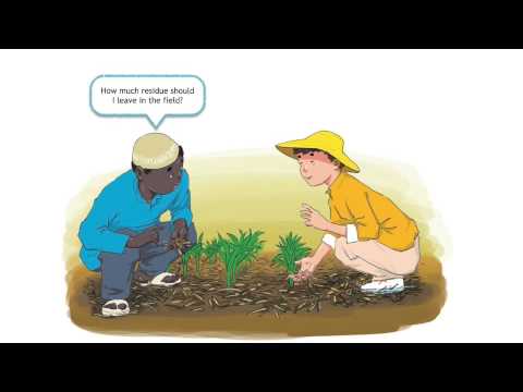 Conservation Agriculture Cartoon Book English version
