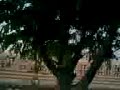 noida ambedkar park as on 6 november 2009