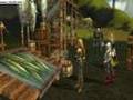 Guild Wars: Pretty Woman