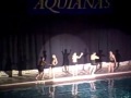 videos de GBN Aquianas