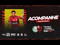The Best 20 Hoje Tem Jogo Do Flamengo E Palmeiras