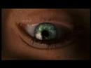 All Fall Down - BLOODRAYNE