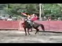Rejoneo Vicente Arteaga , Murcio en Venta