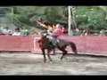 Rejoneo Vicente Arteaga , Murcio en Venta