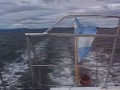 fin del mundo (the end of the world):
compilation of photo's & films of my visit to ushuaia (tierra del fuego, argentina) in february 2006