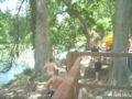 worst rope swing accident ever