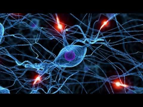 artificial - A peek at the early days of the Quantum AI Lab: a partnership between NASA, Google, and a 512-qubit D-Wave Two quantum computer. Learn more at http://google....