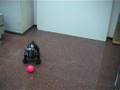 Anakin ball tracking learning