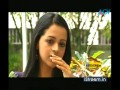 040411 theranottam06 02vis