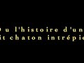 les 1ers pas dans la vie d'un petit chaton intrepide mais pas encore t�m�raire