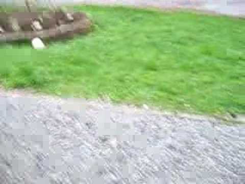 pakistani voyeur