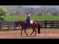 Tastefully Ellegant - 05 AQHA Gelding - FOR SALE