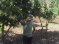 SUVARLI VDEO 1 FATHMUTLU