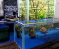 FISH TANK OPEN BOTTOM