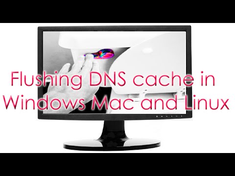 how to flush dns in linux
