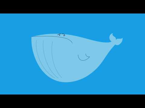 ballena