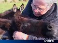 Passions : Calin comme un �ne ?