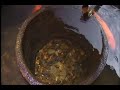 Satoyama (narrated by David Attenborough) 2/6