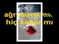 SENSİZLİK ÖLÜMDEN BİLE ZOR