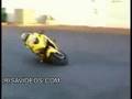 Las mejores video tonteras