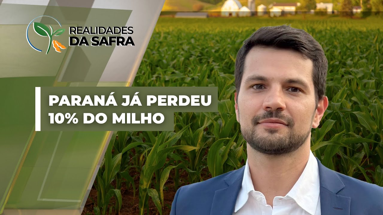 Paraná já perdeu, pelo menos, 10% do milho e fica em alerta para geadas no inverno