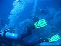 videos de Excursión de buceo ala isla de Malpelo - Aquasub Dive Travel