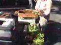CSA - YouTube
