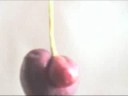 Male Cherry Uncovered.