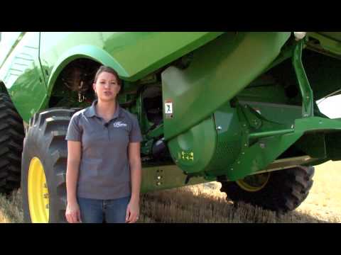 how to harvest popcorn