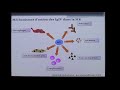 Click to View : Traitements Maladie de Kawasaki - Dr Galeotti - CHU Kremlin Bicêtre nov.2018