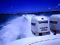 Evinrude Etec 250hp in Mauritius