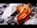 Elf Cup Fungus