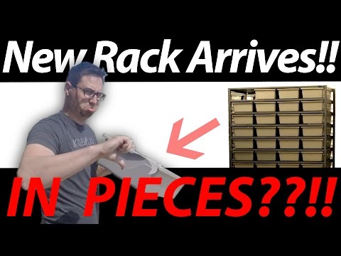 YouTube reptile video