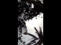 I uploaded a @YouTube video http://t.co/AOJKrvpG Bats of Sydney 17