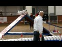 videos de Finnley VP2 NK Behendigheid FHN 16-11-2008