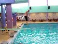 Fat Guy falls off Diving board Fat Guy falls off Diving board