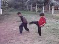 SILAT SELENDANG MERAH