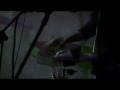 videos de Barmamiferos - Okou