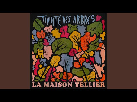 Image de prévisualisation YouTube