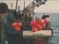 GEORGES BANK COD FISHING GEORGES BANK COD FISHING