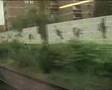 BONOM flying bird Luxembourg-Etterbeek
