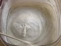 Follow the Sourdough  - Day 4