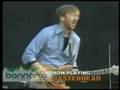 Oysterhead - Polka Dot Rose