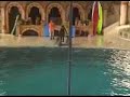 Dolphin-Show-part-I