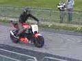 ribiero bourbourg stunt ribiero bourbourg stunt