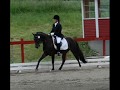 Esholms Bagheera, dressurponni