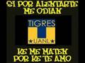 *12* LIBRES Y LOKOS *12*