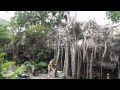 Просмотр видео