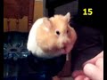 Rudy 4: Cheerios Rudy 4: Cheerios